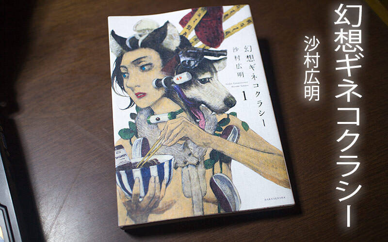 沙村広明の短篇集『幻想ギネコクラシー』に脳みそをくすぐってもらった。