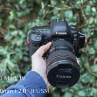 EF24-70mm F2.8L II USMで写真を撮ってみた 手に入れて正解だった 作例 